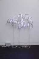 Revital Cohen and Tuur Van Balen, *Giving More to Gain More*, (2014)